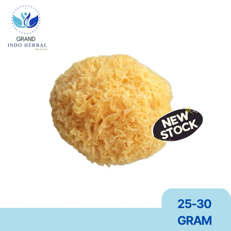 

BAI MU ER / YIN ER / JAMUR PUTIH / DRIED WHITE FUNGUS