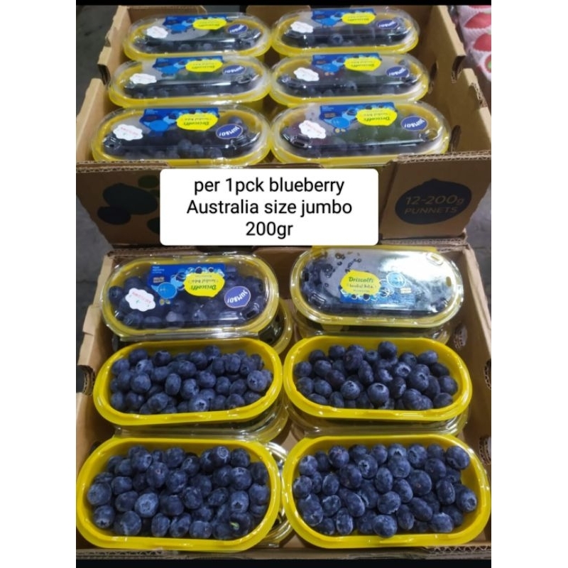 

buah blueberry per 1 pack buah 200gr jumbo buah
