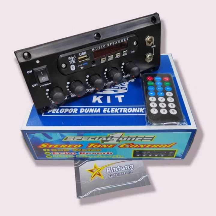 Aktif Tone Control + MP3 Bluetooth ECHO 2 mic Karaoke