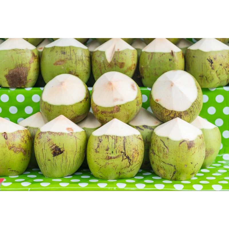 

KELAPA MUDA/KELAPA DUGAN SEGAR 1PCS