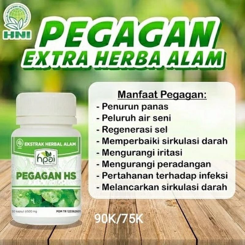 

Pegagan HNI BPOM