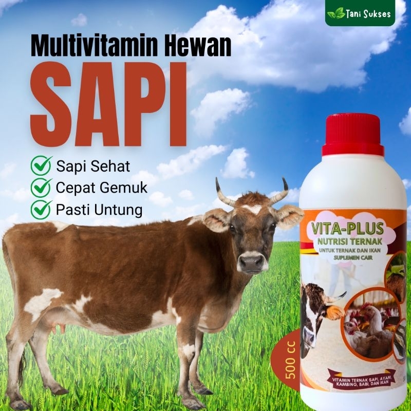 Vita plus Vitamin Penggemuk Ternak Sapi | vitamin sapi agar cepat gemuk | obat Penggemuk Ternak sapi