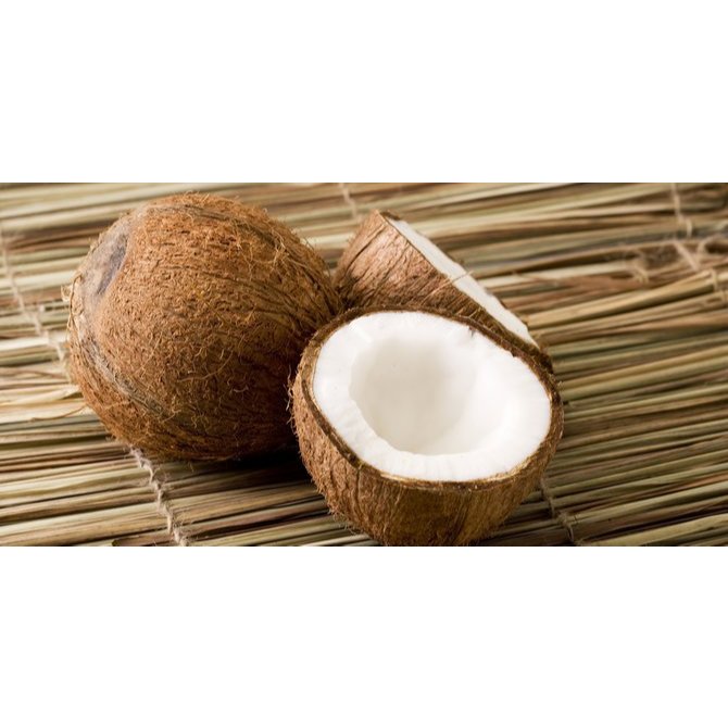 

[COD] Buah kelapa santan keperluan masak bisa request kulit/non kulit