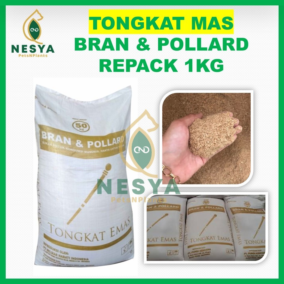 Brand Pollard Tongkat Emas Repack 1kg Polar Pakan Sapi - Polar Pakan Kambing