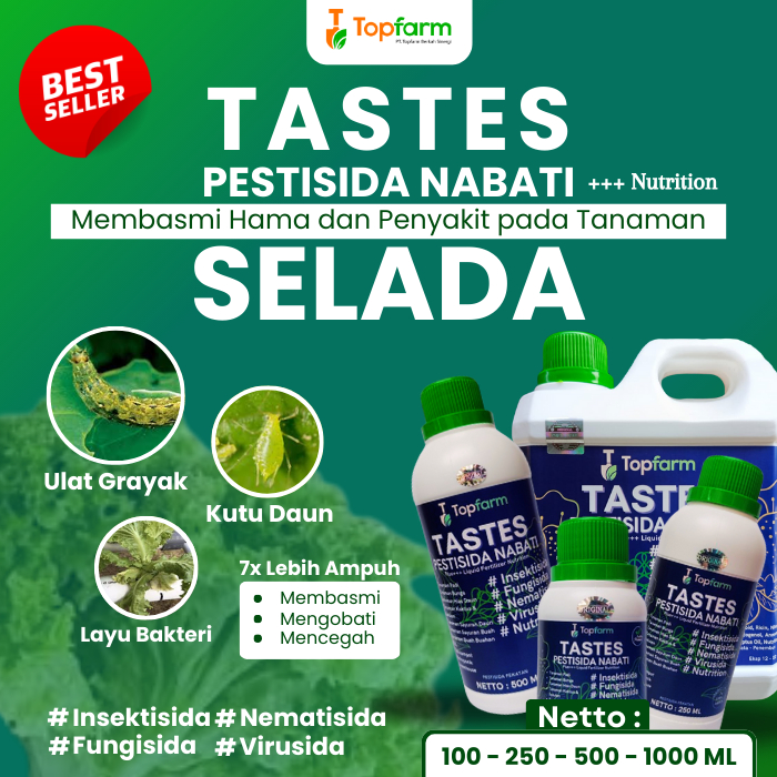 Obat Sayuran Selada / Obat Cair Buat Daun Selada / Obat Hama Selada / Obat Ulat Daun Selada / Obat S