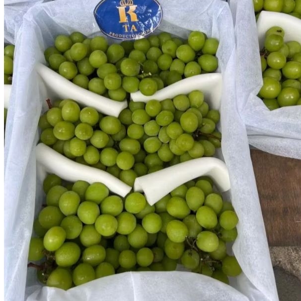 

Anggur Shine Muscat Curah Jual Per 1 BOK Krat