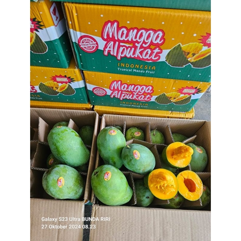 

Mangga Alpukat 5kg Full Tua. Termurah!!