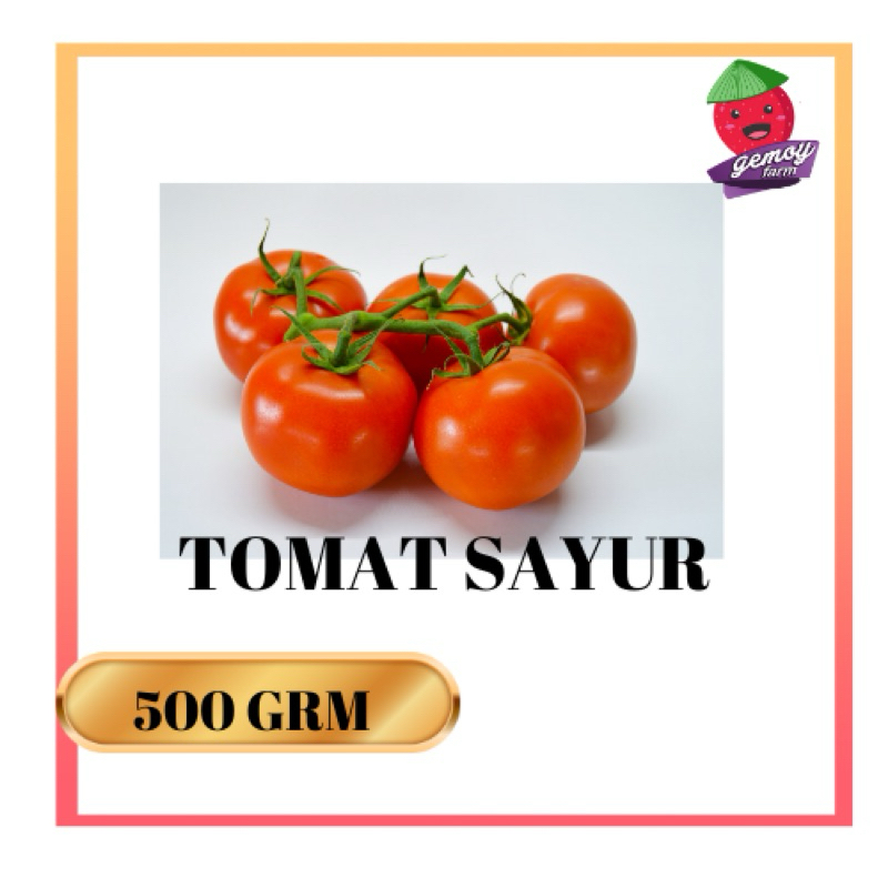 

Tomat Sayur