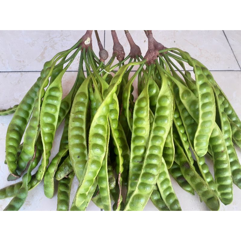 

pete super petai 50 lonjor