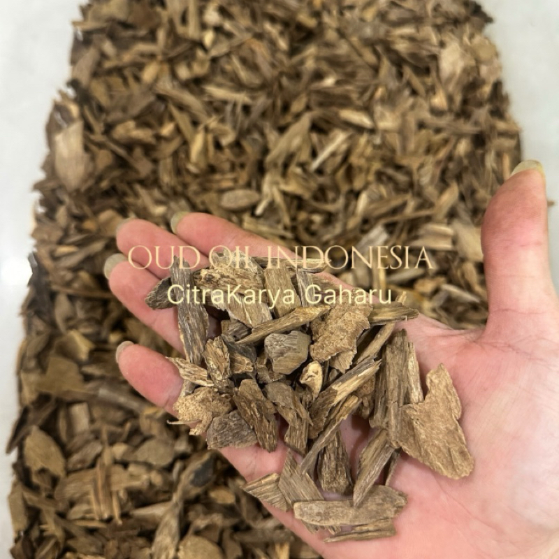 Kayu Gaharu Asli Alami Aroma KC Malinau