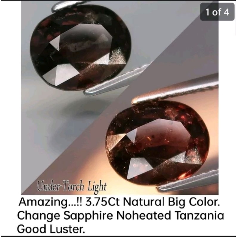 Natural Sapphire Color Change 3.75 Carats Sertipikat Noheated