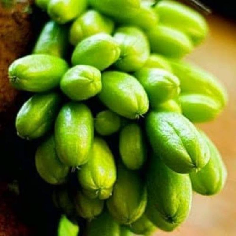 

BISA COD Buah Belimbing Wuluh/Rempah Masakan