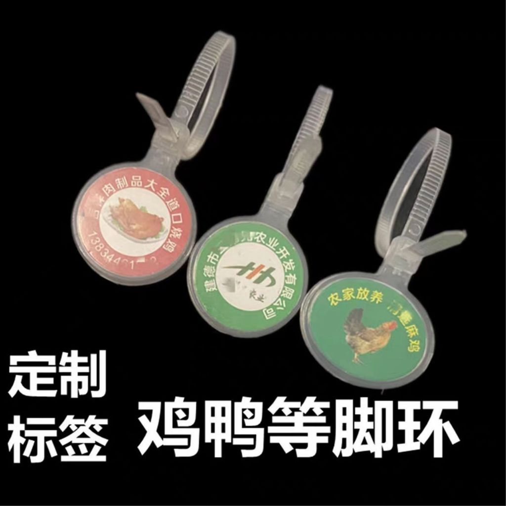 GELANG AYAM GELANG KAKI AYAM LIONTIN BAHAN CUSTOM TULISAN DAN LOGO ISI 1 BIJI zeorfarm