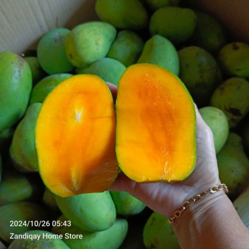 

Mangga Harum Manis per Kg