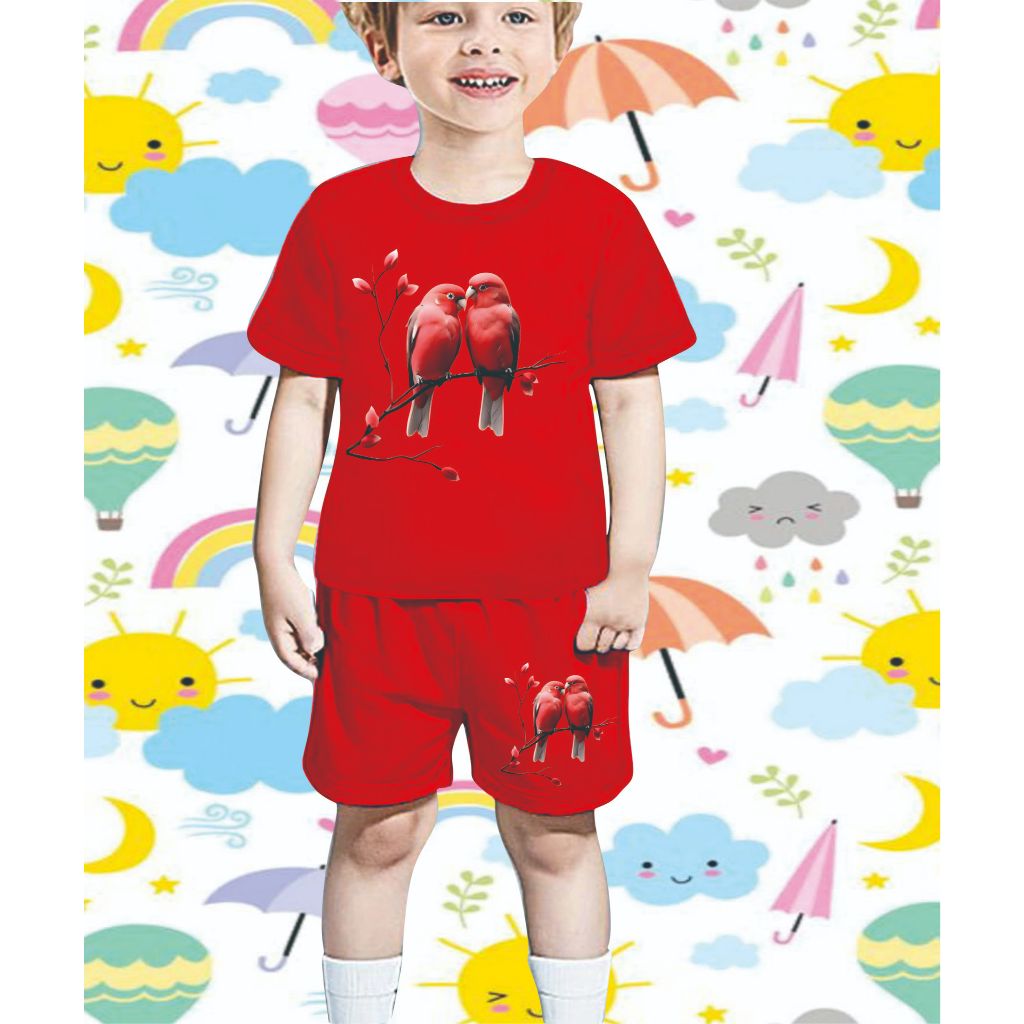 setelan baju anak anak/set baju cewek cowok/set fashion/gambar burung kembar
