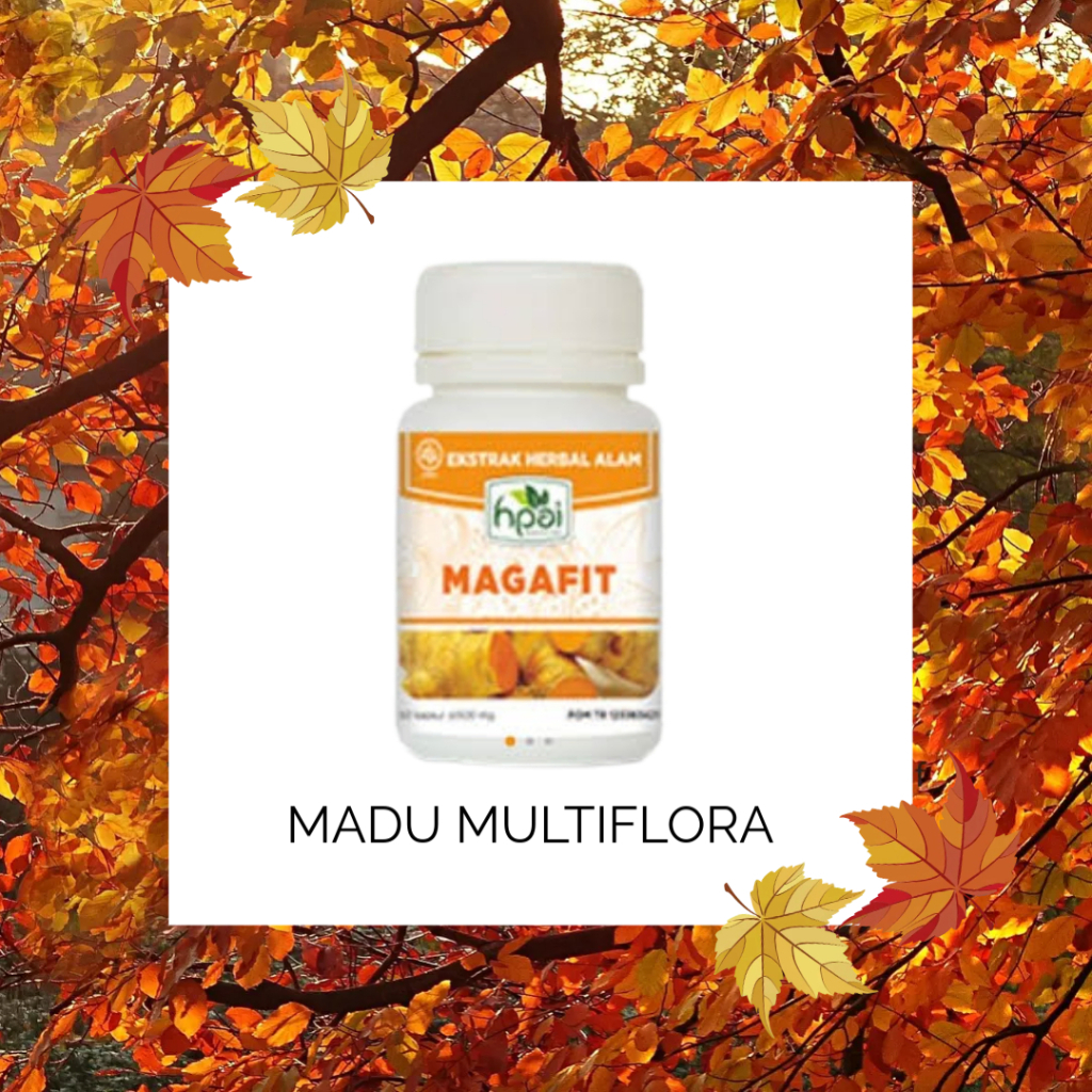 Magafit HNI HPAI Obat Maag Kronis dan Obat Asam Lambung Ampuh, Herbal Obat Asam Lambung HNI HPAI ya