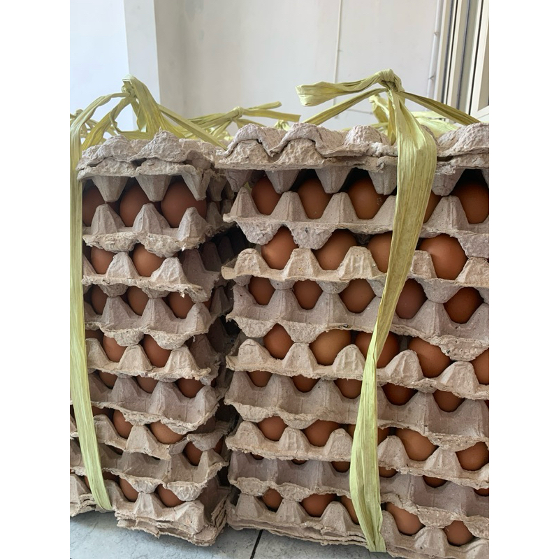 

[1kilo] Telur Horen Biasa GRATIS TRAY KARTON 15- 16butir - GoodEgg Telur Negeri