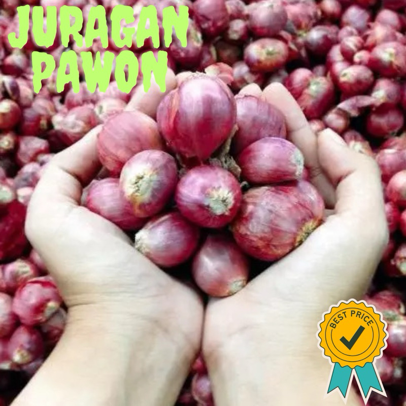 

BARU!! 10 BIJI BAWANG MERAH SUPER