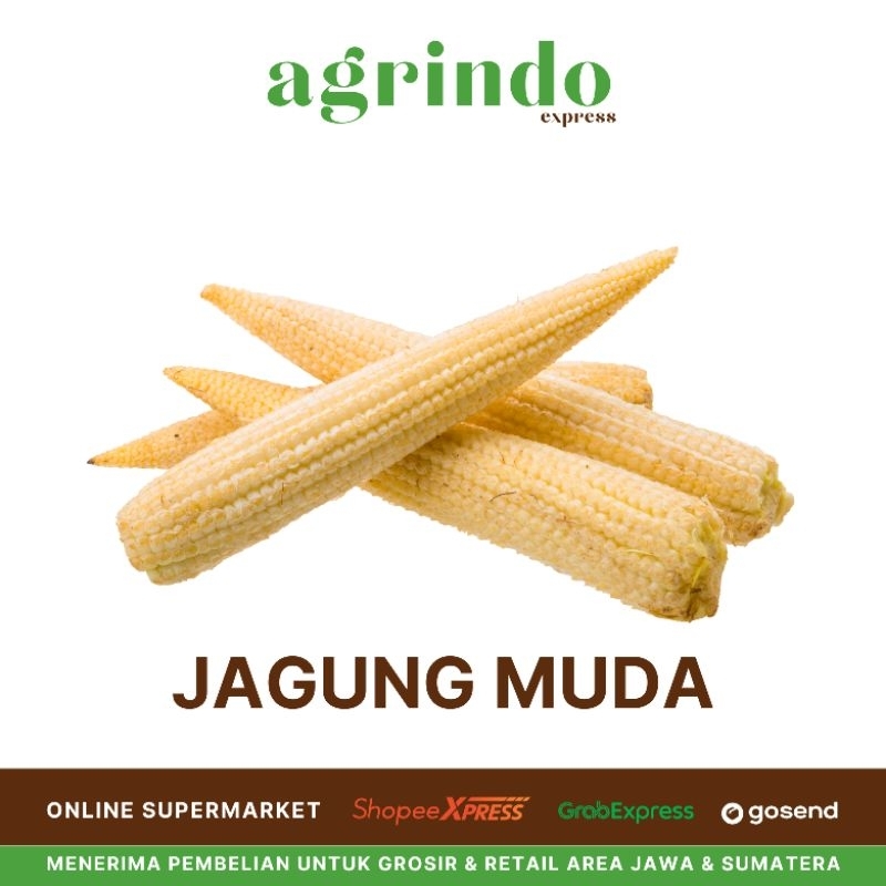 

Jagung Muda (Putren)