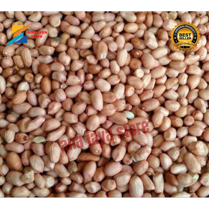 

KACANG TANAH KULIT ARI MENTAH 500g | 1kg