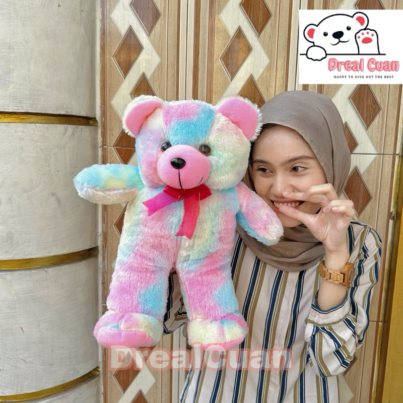 Boneka Beruang Teddy Bear Rainbow Sedang