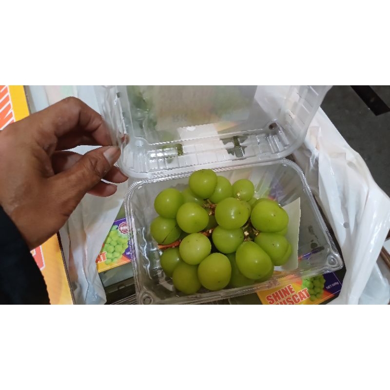 

Buah Anggur Hijau Shine Muscat Seedlees Manis Tanpa Biji Garing Enak-1pack