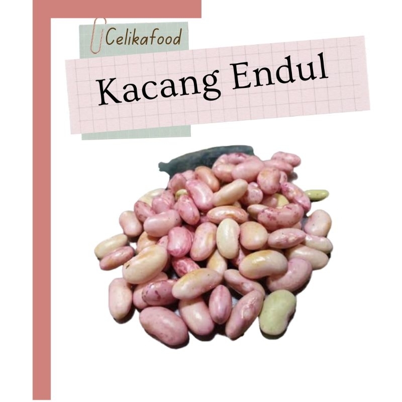 

Kacang Merah 250 gr Read Bean Sayur Makanan Fresh