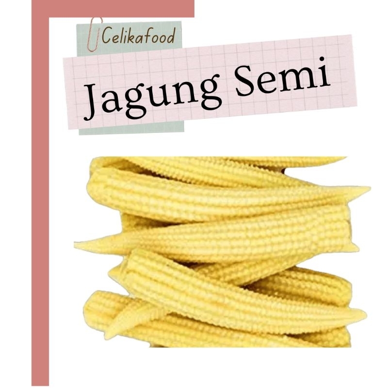 

Jagung Semi Muda 250 gr Putren Baby Corn Acar Capcai Masakan Fresh