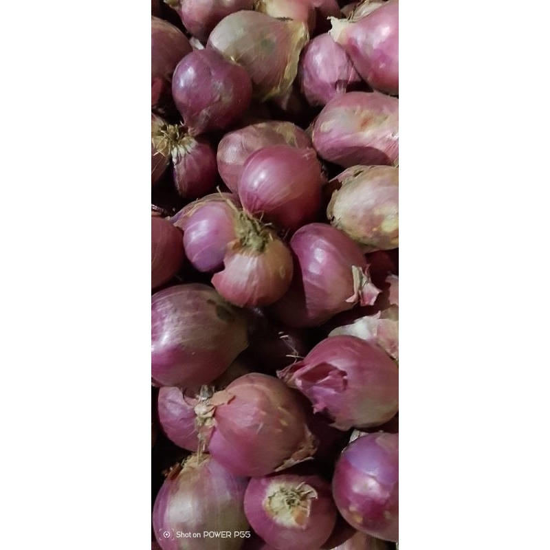 

bawang merah lokal Nganjuk tanggung varian 500gr