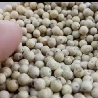 

MERICA Lada Putih 100gram/1ons