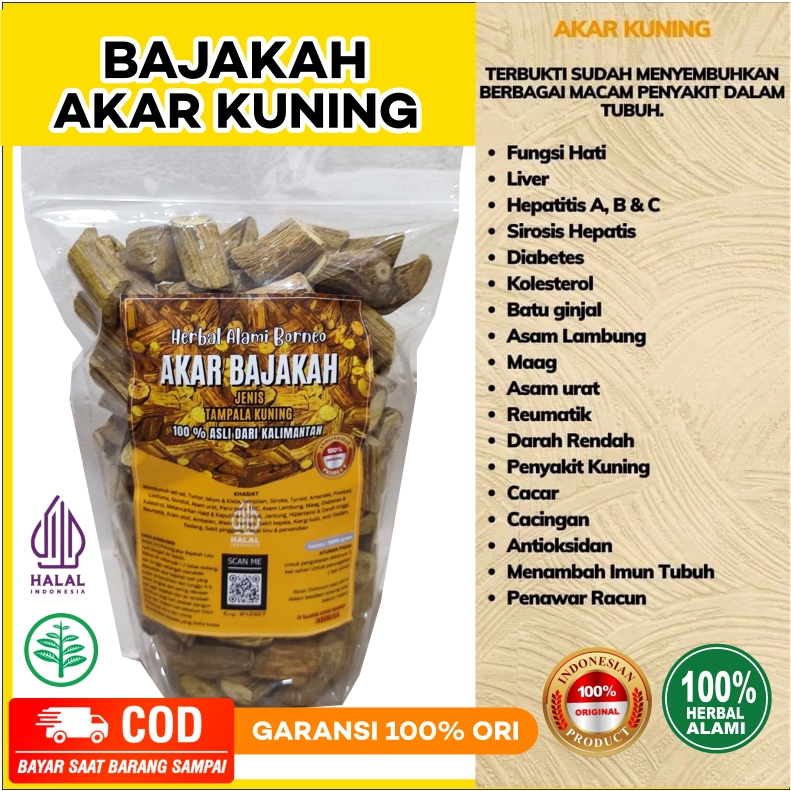 

Akar Kayu Bajakah Kuning Kualitas Terbaik Siap seduh Asli kalimantan 100% Original