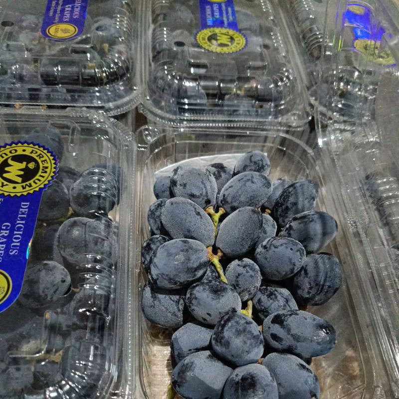 

Anggur autumn pack 500gr/autumn royal