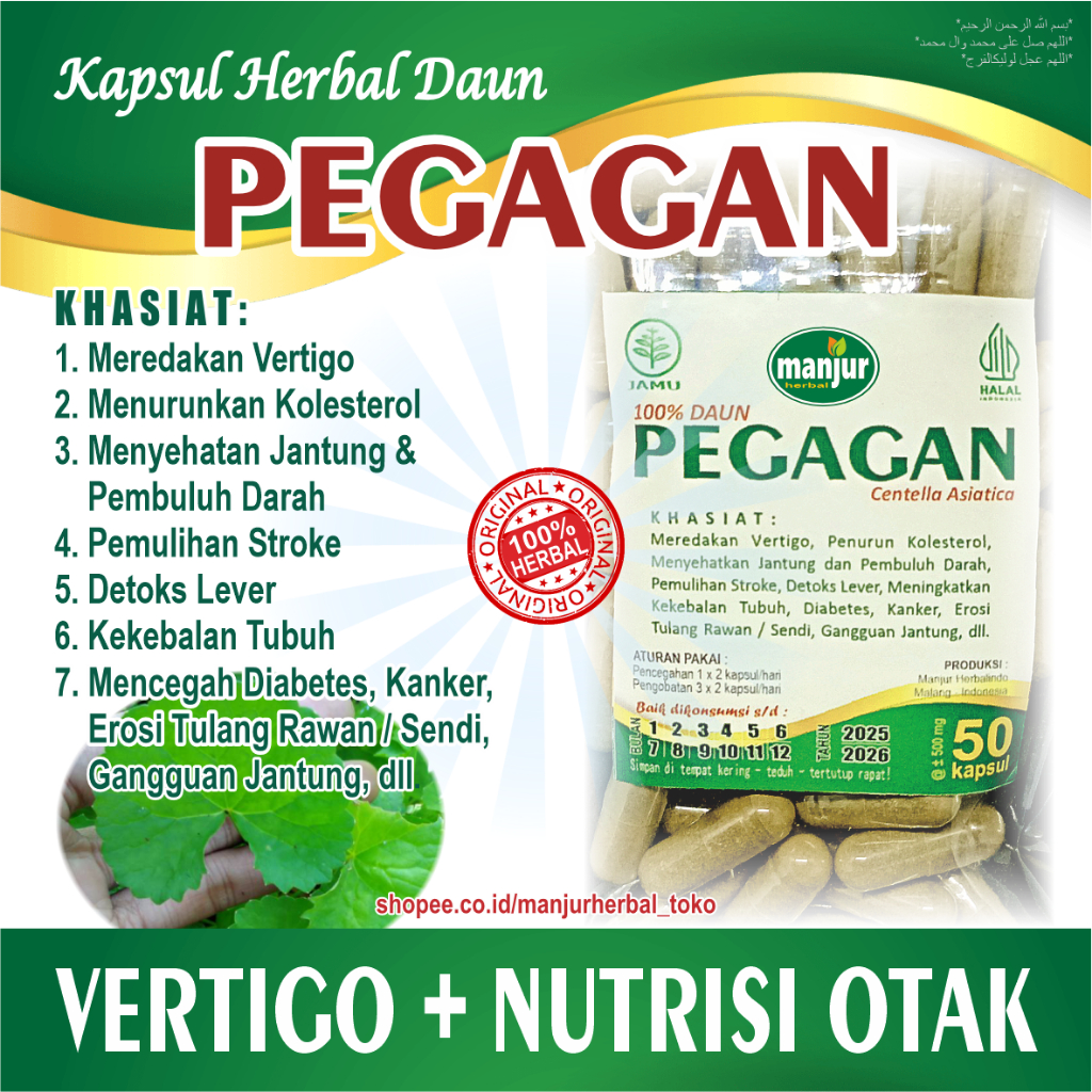 

PEGAGAN 50 Kapsul >> Redakan Vertigo – Pemulihan Stroke – Kesehatan Pencernaan & Lever <<