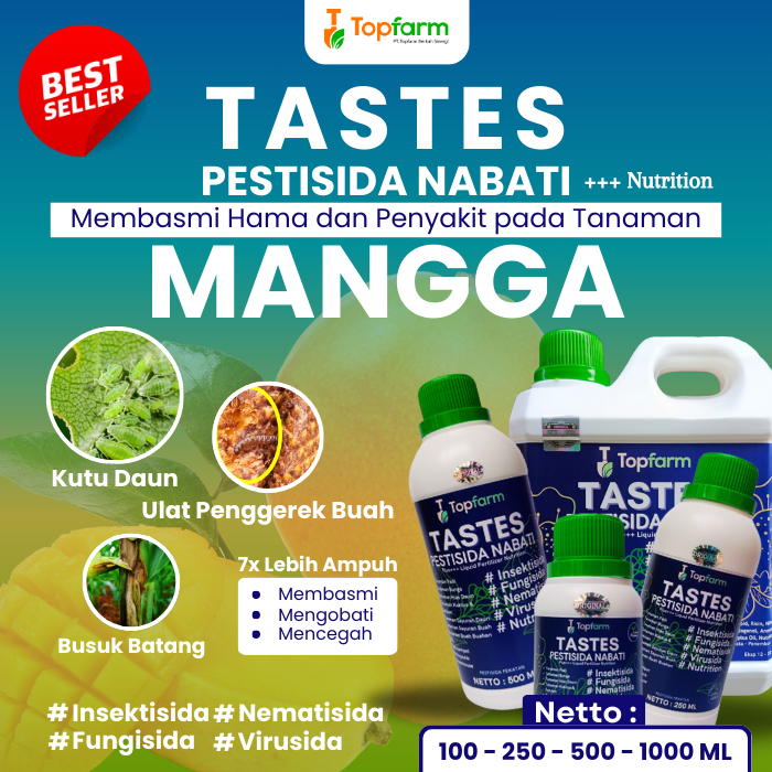 Obat Pembasmi Hama Pohon Mangga / Obat Semprot Hama Daun Mangga / Obat Pembasmi Hama Buah Mangga / O