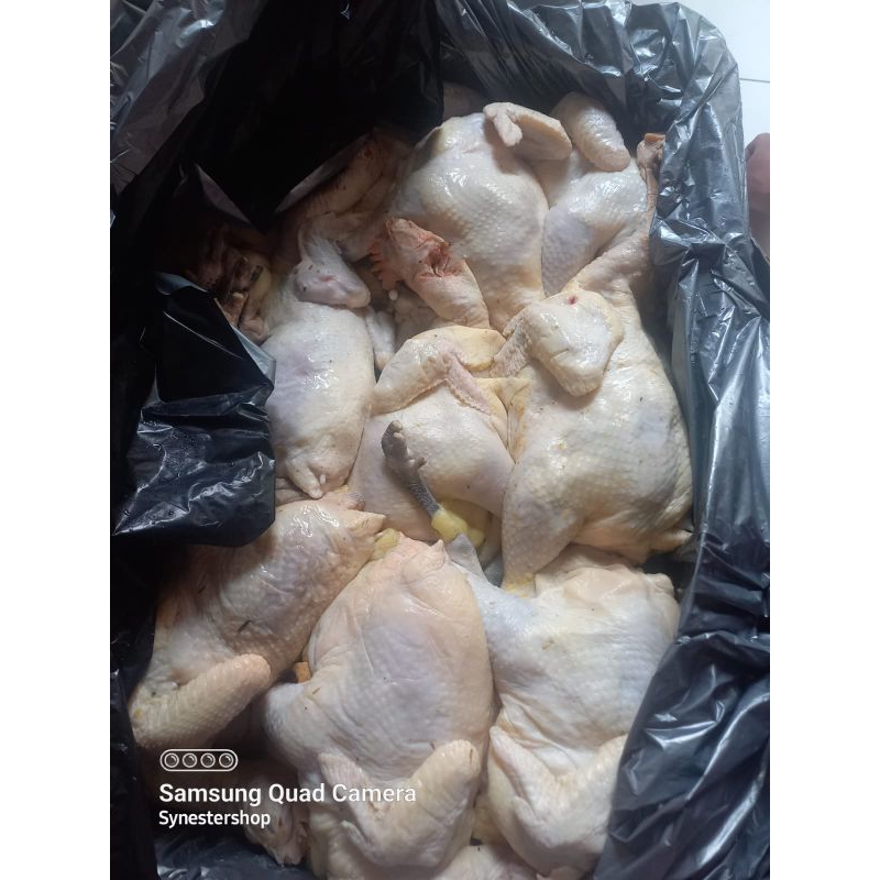 

Ayam Kampung 1,1-1,2kg