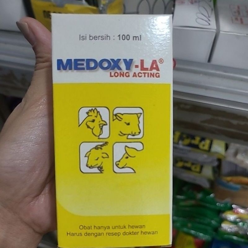 Medoxy LA 100ml obat antibiotik injeksi sapi domba kambing kuda babi