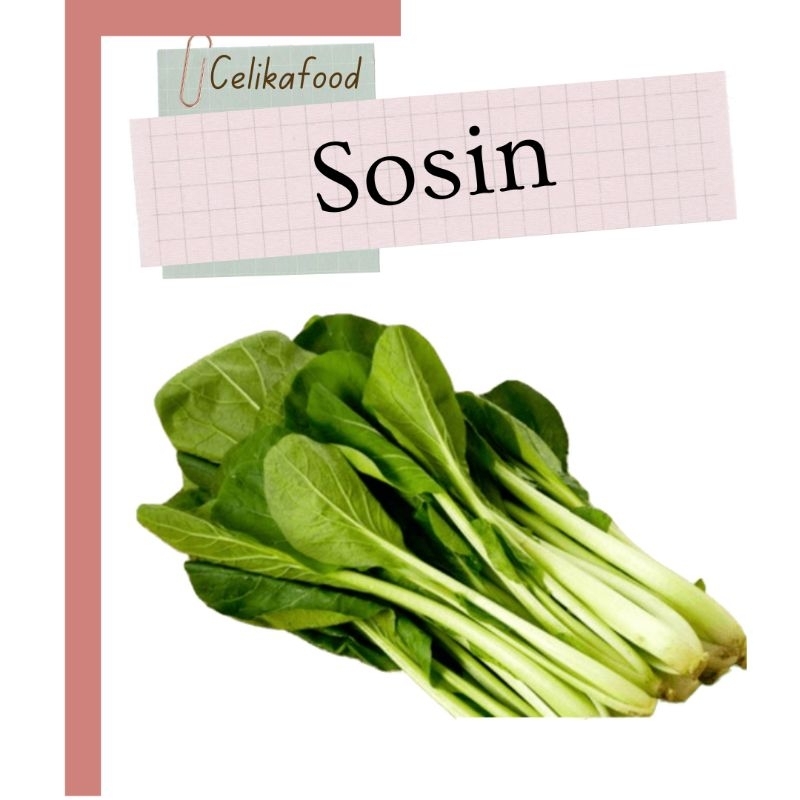 

Sawi Hijau Sosin 500gr Sayur Caisim Caisim Sayur Sayuran Fresh Vegetable