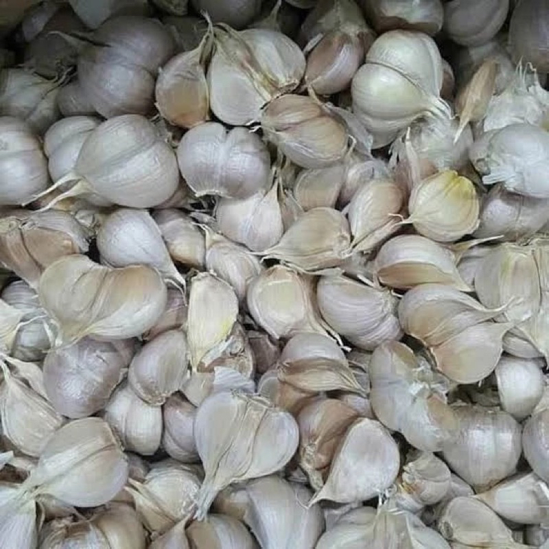 

BAWANG PUTIH KATING BERSIH - 1 KG Premium