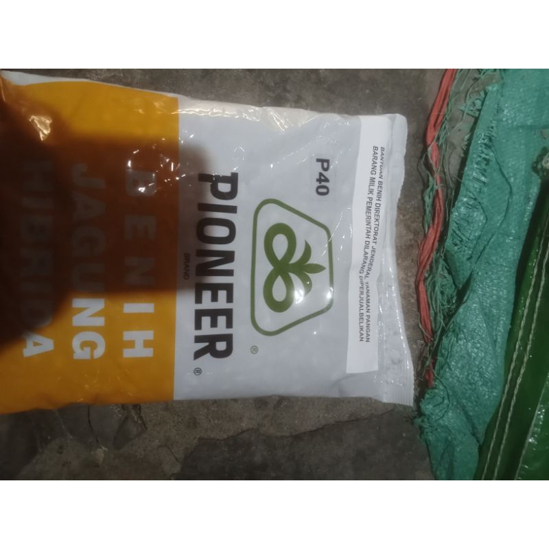 Bibit jagung Pioneer p40