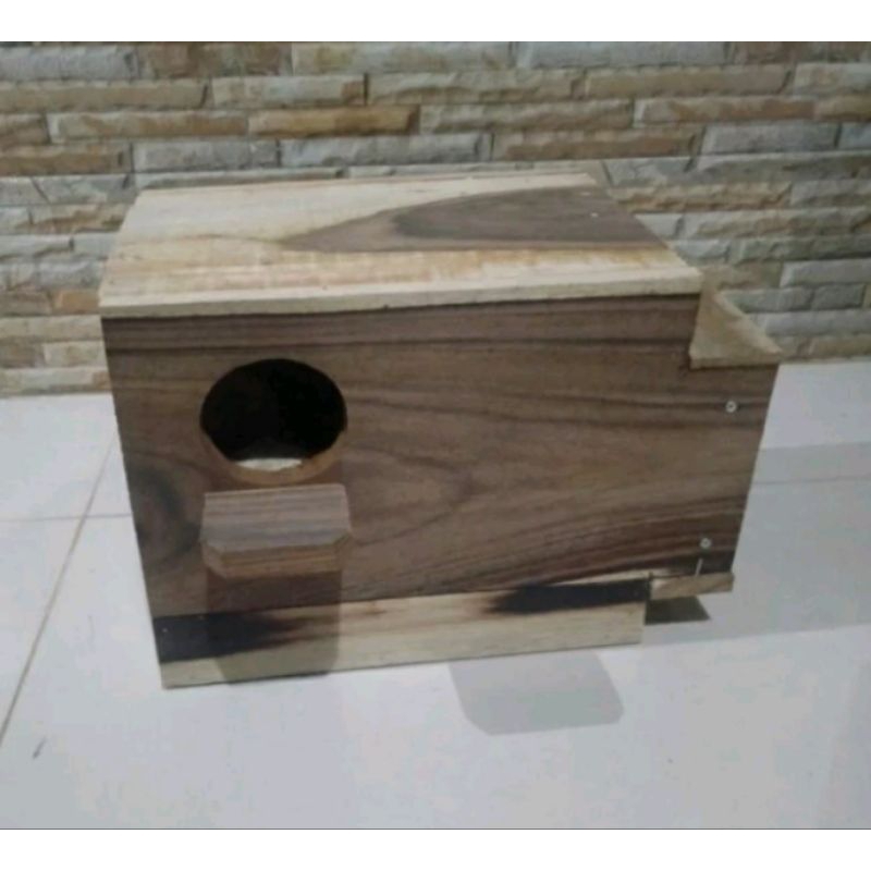 Glodok Kaca, Glodok ternak burung Lovebird