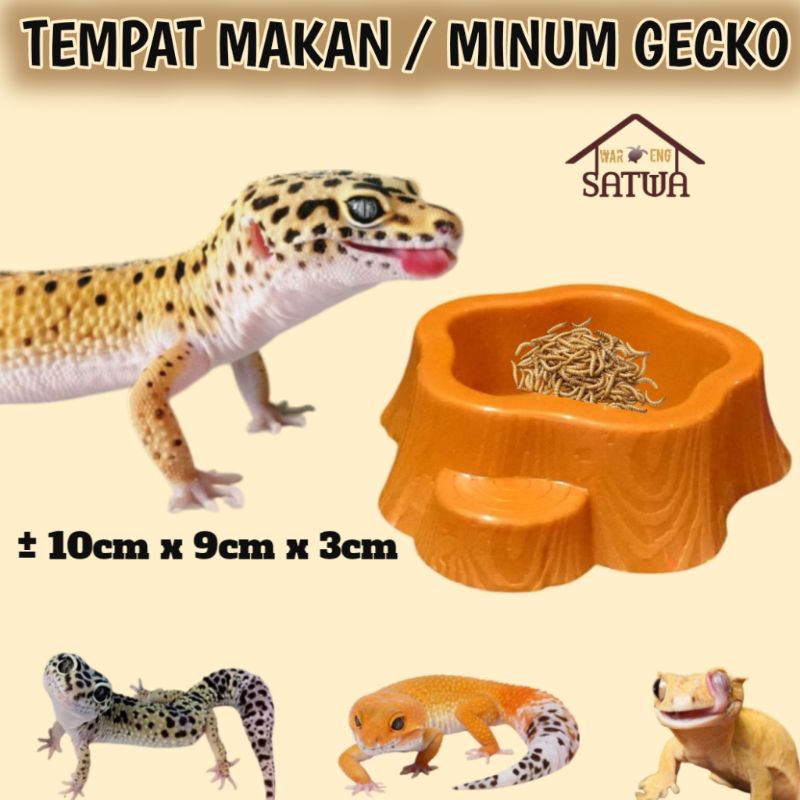 TEMPAT MAKAN / MINUM GECKO LEOPARD GEKO TANGERINE ENIGMA ECLIPSE SNOW SUNGLOW TOKEK KADAL ULAR HAMST