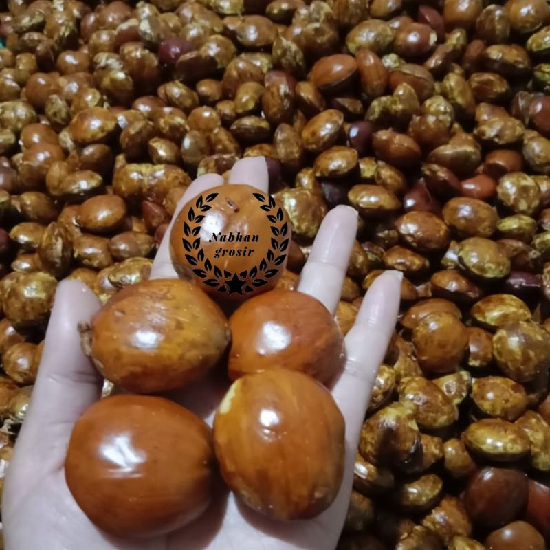 

1 KG JENGKOL TUA PULEN ENAK MANTAP