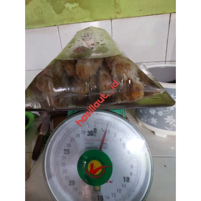 

teripang | | hoisem rendam siap makan 500gr 10pcs