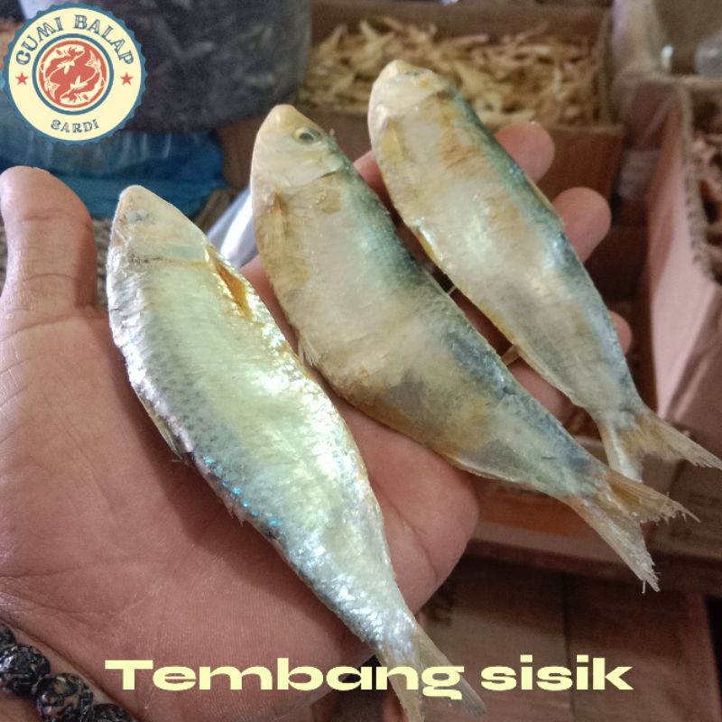 

ikan asin tembang,sisik super