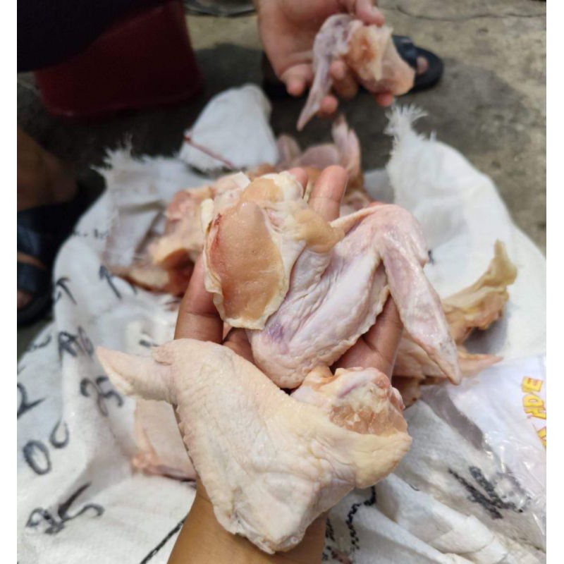 

Sayap Ayam
