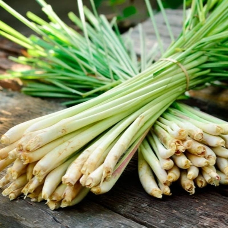 

Serai / sereh rempah bumbu herbal /1kg