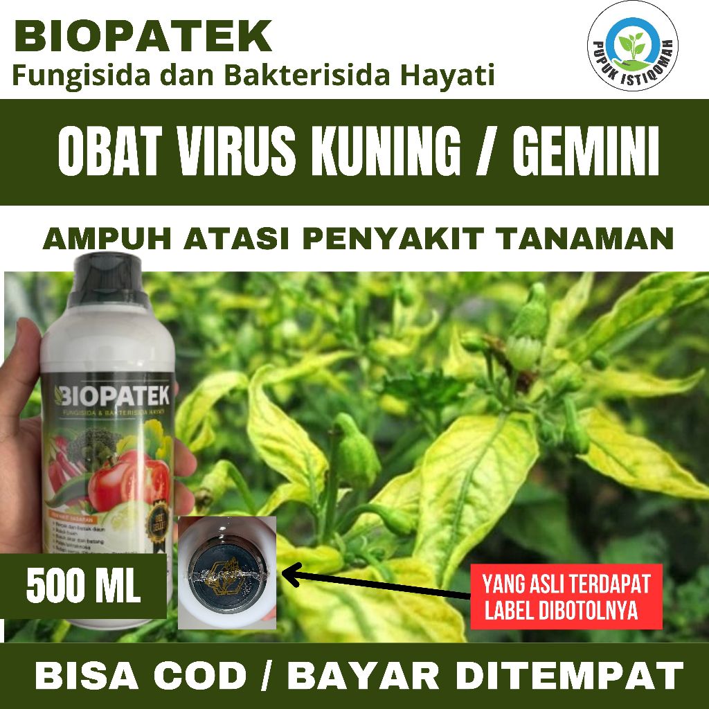 BIOPATEK - Obat Cabe Daun Kuning Keriting dan Rontok Terbaik 500 ML - Pupuk Kalsium Cabe Daun Kuning