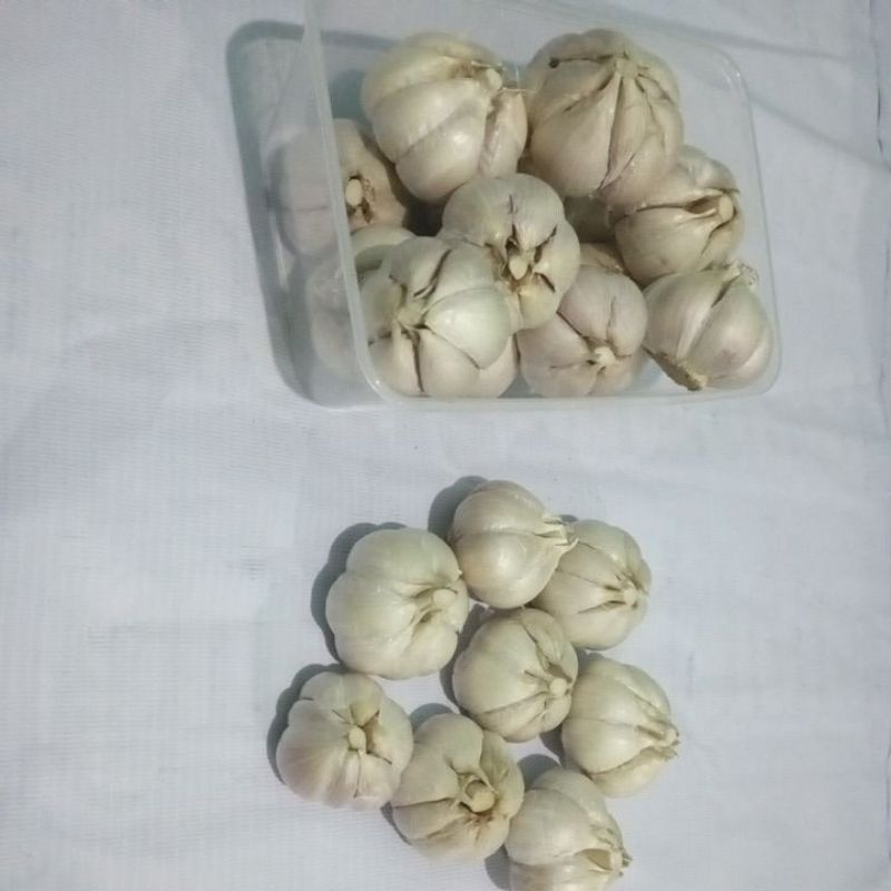 

Bawang Putih Cincau