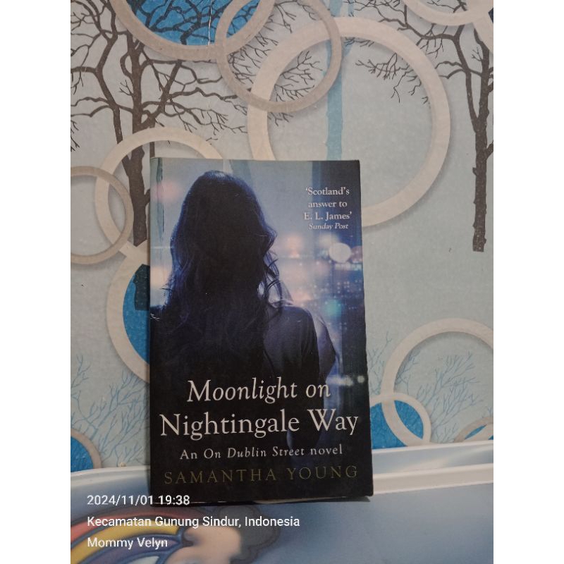 MOONLIGHT ON NIGHTINGALE WAY AN ON DUBLIN STREET NOVEL