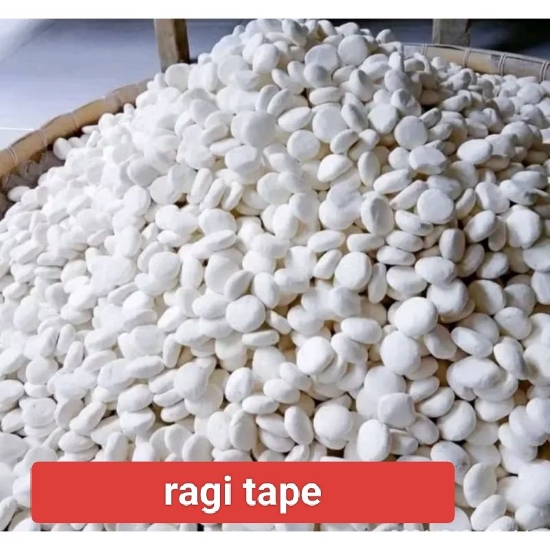 

ragi tape singkong ragi tape ketan isi 20biji gede kcil